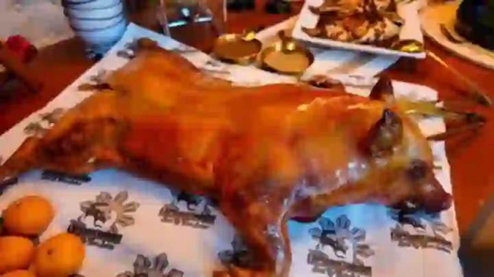 Lechon de leche