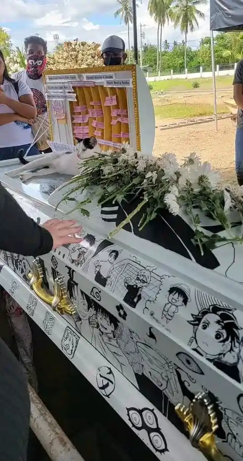 Anime-Themed Coffin